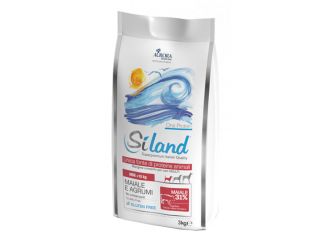 Siland adult mini maiale 3kg