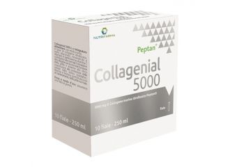 Collagenial 5000 10 fiale 25 ml