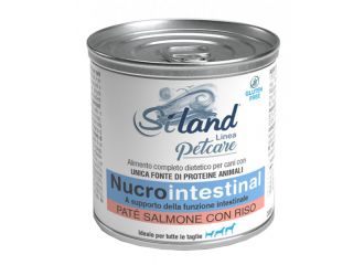 Siland nucrointestinal umido cane salmone/riso 300 g