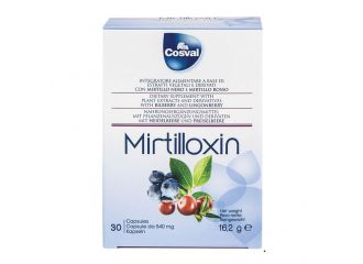 Mirtilloxin 30 capsule