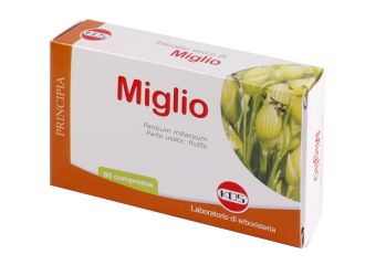 Miglio estratto secco 60 compresse