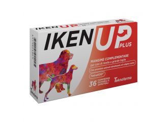 IKEN UP PLUS CANI MEDIA E GRANDE TAGLIA 36 CPR