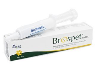 Brospet pasta 20g