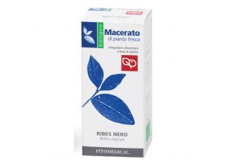 Ribes nero bio tintura madre 50 ml