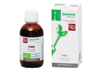 Pino macerato glicerinato bio 50 ml