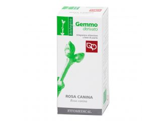 Rosa canina macerato glicerinato bio 50 ml