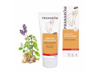 Pranarom aromalgic crema articolazioni bio 100 ml