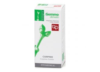 Carpino macerato glicerinato bio 50 ml