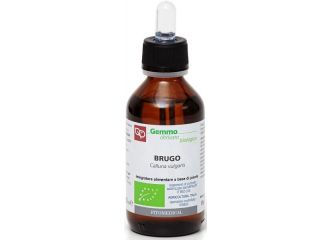 Brugo macerato glicerinato bio 100 ml