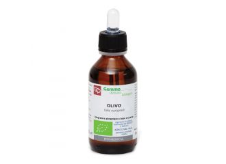 Olivo macerato glicerinato bio 100 ml