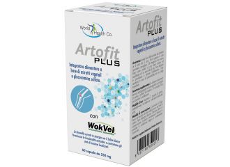 Artofit plus 60 capsule