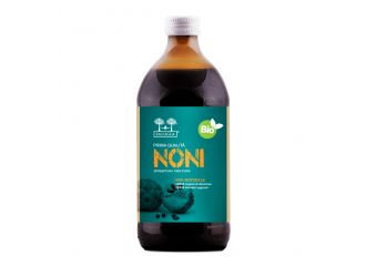 Salugea succo noni bio 500 ml