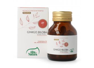 Ginkgo biloba 100 compresse da 900 mg terranata