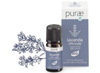 Purae lavanda officinale bio fiori olio essenziale 10 ml