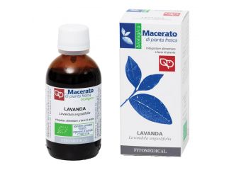 Lavanda tintura madre bio 50 ml