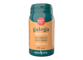 Galega 60 capsule