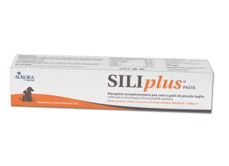 SILIPLUS PASTA 30 GR