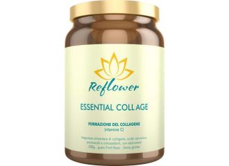 Reflower essential coll age cioccolato 300 g