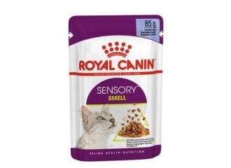 ROYAL CANIN GATTO SENSORY SMELL BUSTA IN JELLY 85 GR