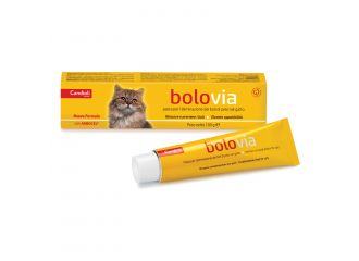 BOLO VIA NUOVA FORMULA 100 GR