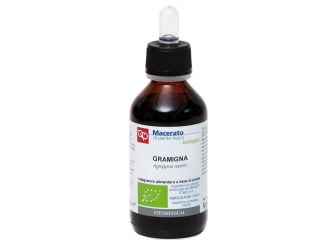 Gramigna tintura madre bio 100 ml