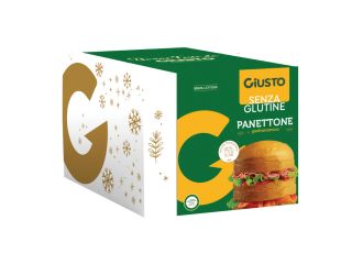 Giusto senza glutine panettone gastronomico 400 g