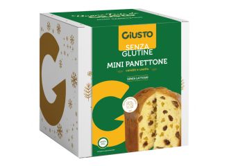 Giusto senza glutine mini panettone uvetta e canditi 100 g