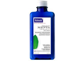 Shampoo menta 250 ml