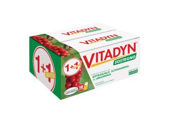 Vitadyn sostegno 10 flaconcini da 10 ml