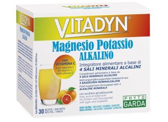 Vitadyn magnesio potassio alkalino 30 bustine