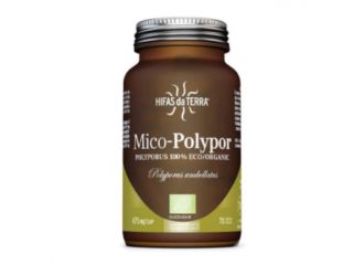 Mico polypor 70 capsule