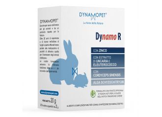 Dynamo r 20 bustine da 2 g