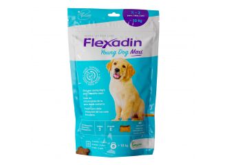 Flexadin young maxi 60 tavolette appetibili