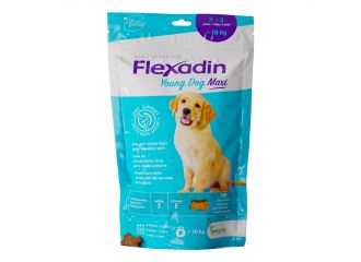 Flexadin young maxi 120 tavolette appetibili