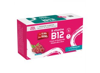 Sanavita b vitamins b12 15 flaconcini