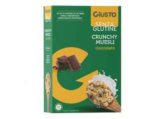 Giusto senza glutine muesli avena e cioccolato 375 g