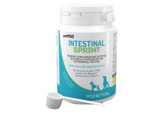 Petmod intestinal sprint 50 g