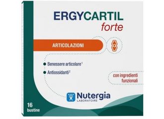 Ergycartil forte 16 bustine