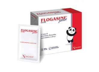 Flogasine junior 20 bustine