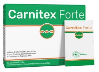 Carnitex forte 14 bustine