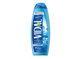 Vidal bagnodoccia polar ice 500 ml