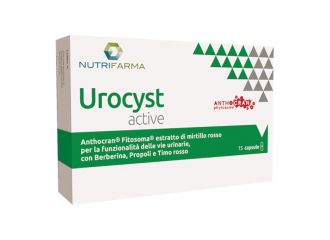 Urocyst active 15 capsule