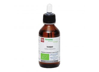 Sorbo macerato glicerinato bio 100 ml