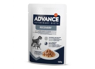 ADVANCE DIET RECOVERY BUSTA 100 GR