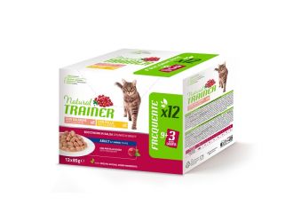 Natural trainer cat umido pollo salmone 12 pezzi da 85 g