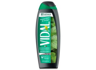 Vidal doccia new mint & ginkgo 250 ml