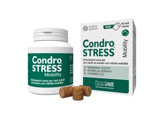 Condrostress mobility 60 soft chews