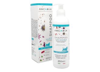 Ancaria shampoo cani/gatti 250 ml