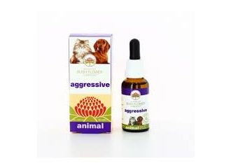 Aggressive 30ml