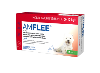 Amflee*spoton 3pip 2-10kg ca